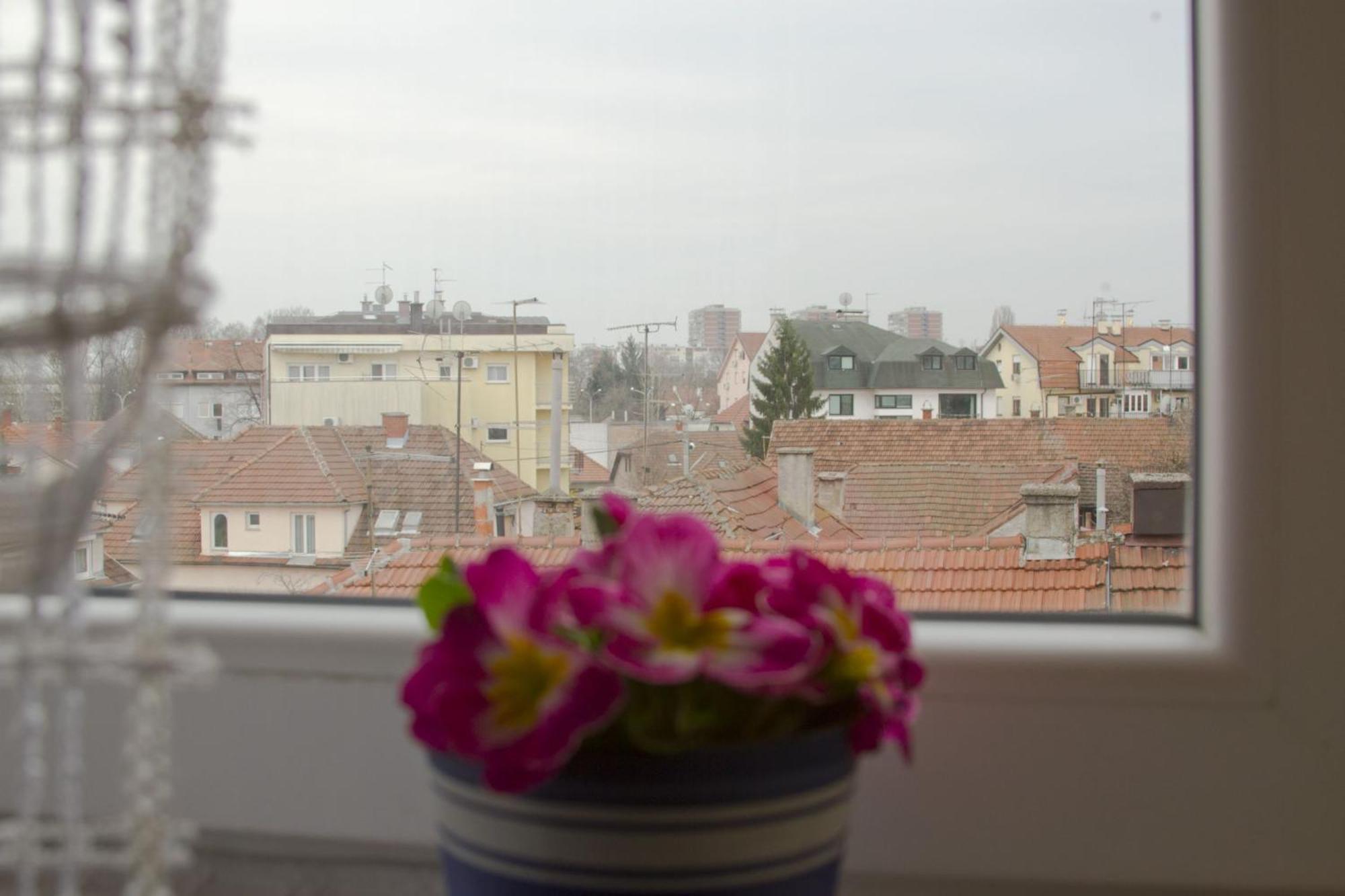 Apartmani Nighty Night Zagreb Habitación foto